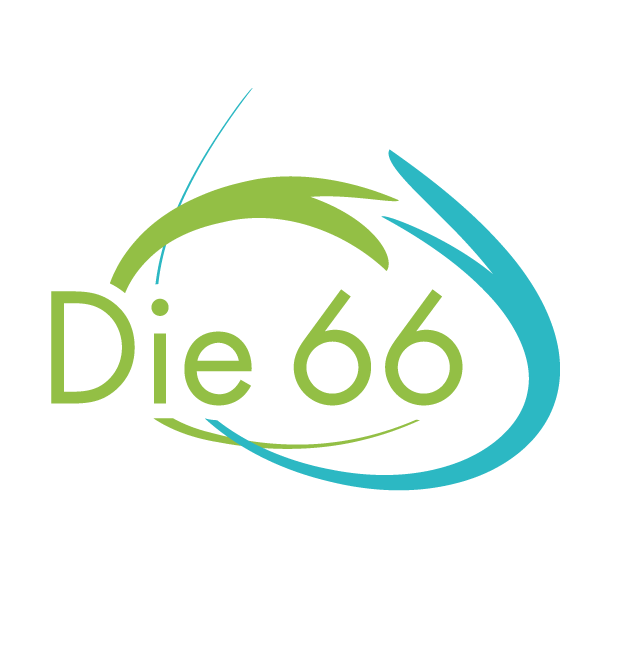 Die 66 logo rgb